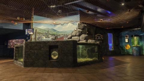 Dingle Aquarium