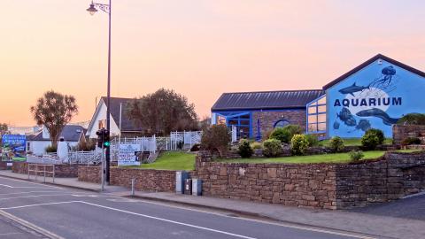 Dingle Aquarium