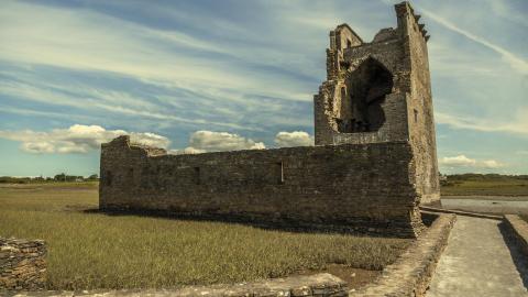 Carrigafoyle Castle exterior 