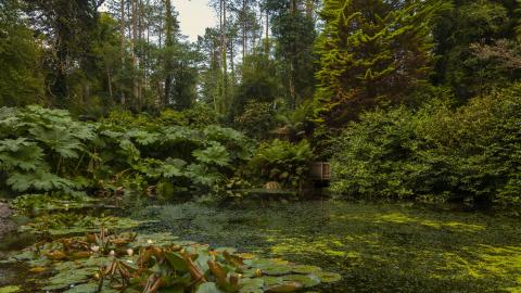 Kells Bay pond 