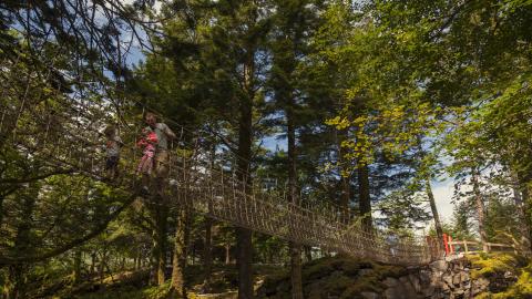 Kells Bay rope bridge 