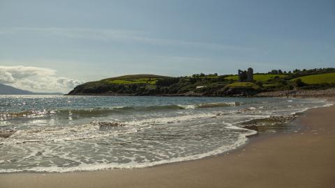 Minard strand waves