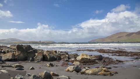 Whitestrand Beach 