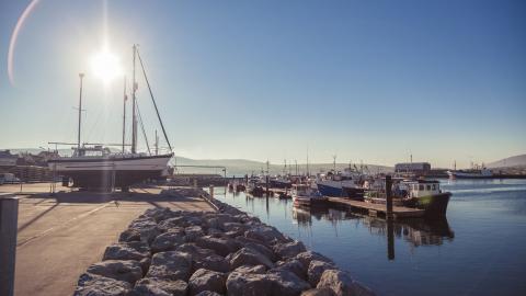 Dingle Pier 