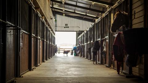 Equestrian Centre Tonevane Stables 