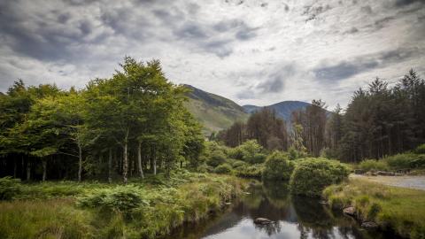 Glanteenassig - river