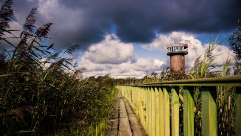 Tralee Wetlands Centre 