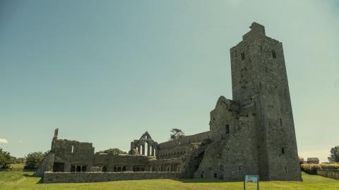 Ardfert Friary 