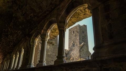 Ardfert Friary 