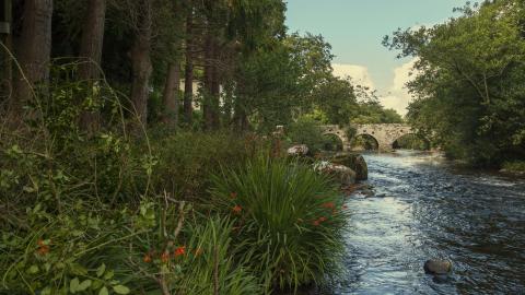 Glenbeigh Bridge3