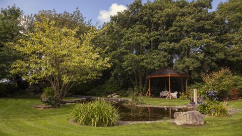 Glenbeigh Hotel  Gardens 