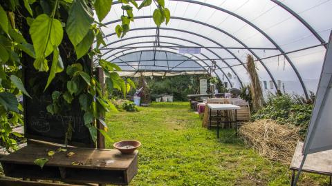 Gortbrack Organic Farm interior 