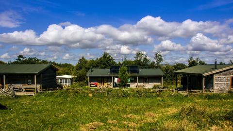 Gortbrack Organic Farm 